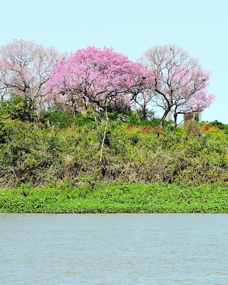 WhatsApp Image 2025-11-20 at 12.32.51