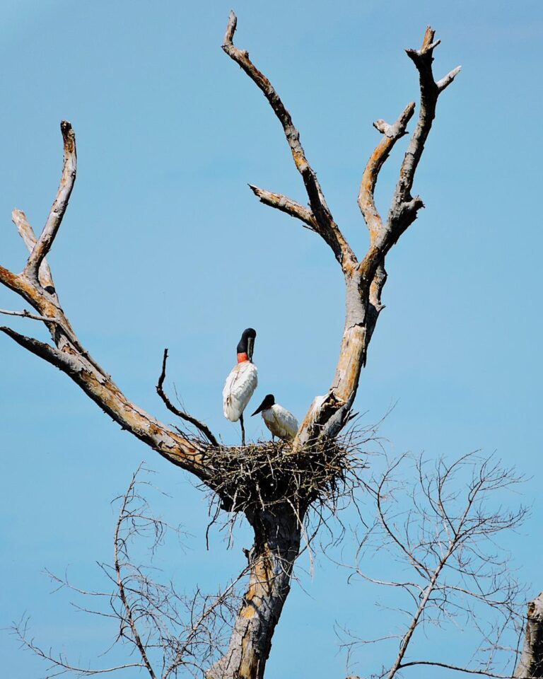 WhatsApp Image 2025-11-20 at 12.37.49 (1)