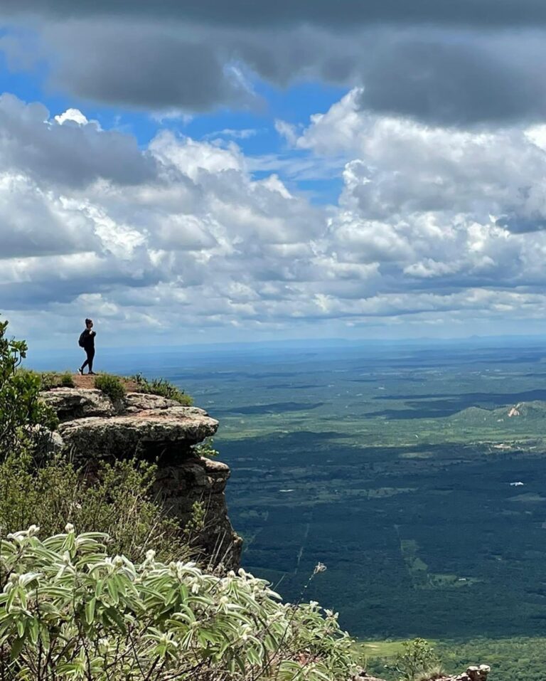 WhatsApp Image 2025-11-20 at 12.49.31